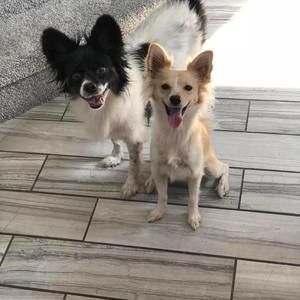 Meet your Posher, Irene NOT FOR SALE